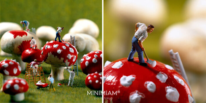 Miniature figures working on red and white mushrooms, showcasing creative tiny worlds of foods and things.