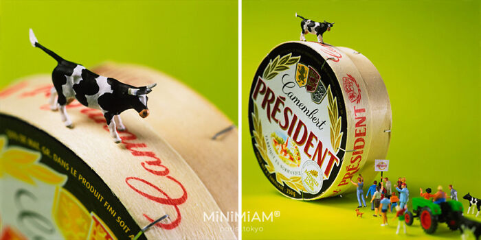 Miniatures of a cow on camembert box and tiny figures cheering near a tractor in a creative tiny world.