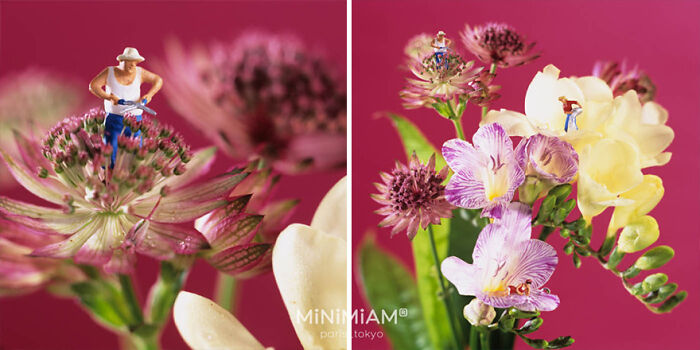 Miniatures on colorful flowers, featuring tiny figures in creative settings.