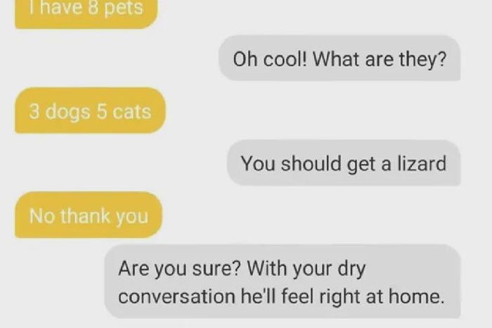 Text exchange making a humorous roast about someone's dry conversation, suggesting they'd suit a lizard as a pet.