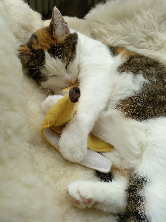 Zora (R.i.p.) Loved Her Banana Peel