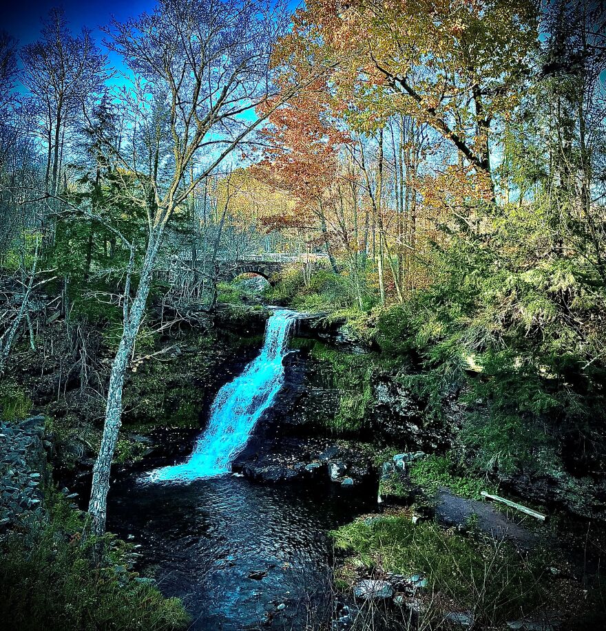 Pictures Of Nature In Upstate New York