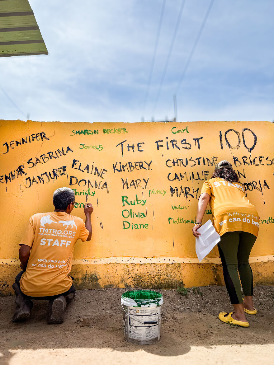 From Thailand To The U.S.: A Thanksgiving Surprise Honoring 100 Readers Who Helped Save Street Dogs