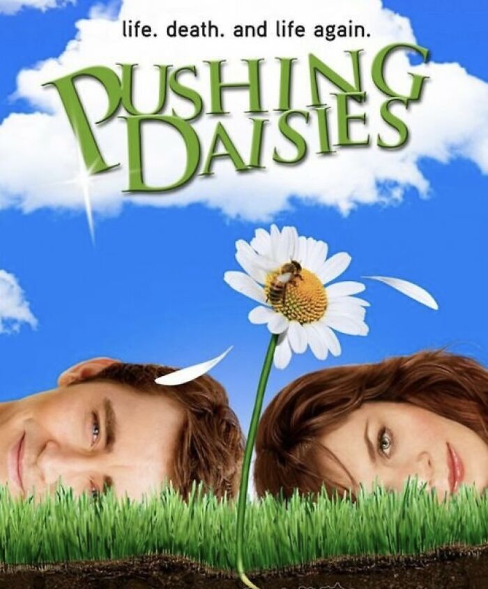 "Pushing Daisies poster featuring main characters and a daisy, related to canceled TV shows reboot discussions."