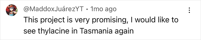 User comment about reviving thylacines in Tasmania, inspired by extinction solutions.