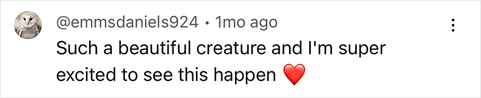 Comment expressing excitement about scientists using ideas from Jurassic Park to address extinction.