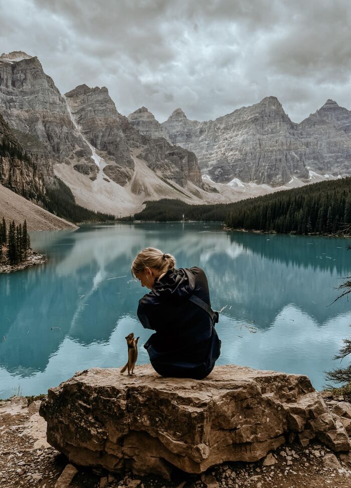 Estaba sacando una foto a mi novia en el lago Moraine, Canadá, cuando este pequeño apareció