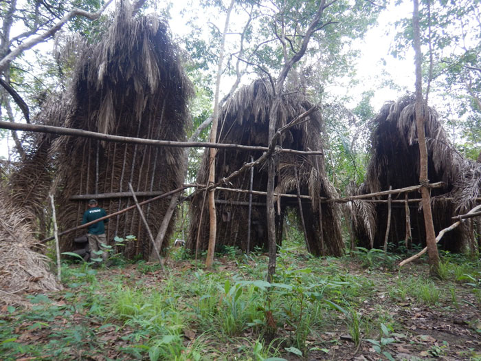 Never-Before-Seen Amazon Tribe Captured In Stunning First Glimpse: “Leave Them Alone”