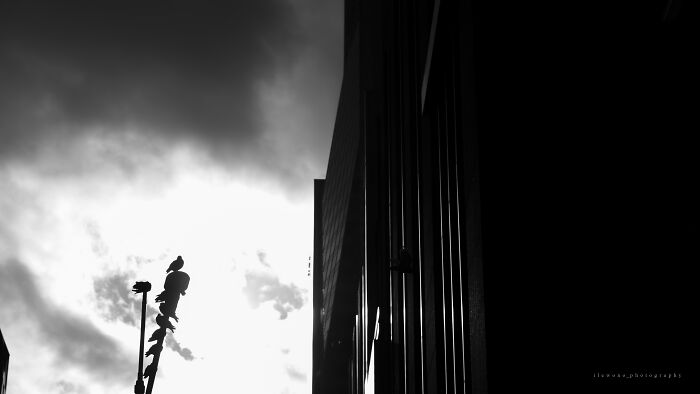 My High-Contrast Street Photography (6 Pics)