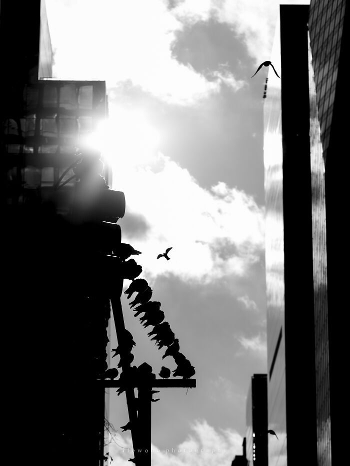 My High-Contrast Street Photography (6 Pics)