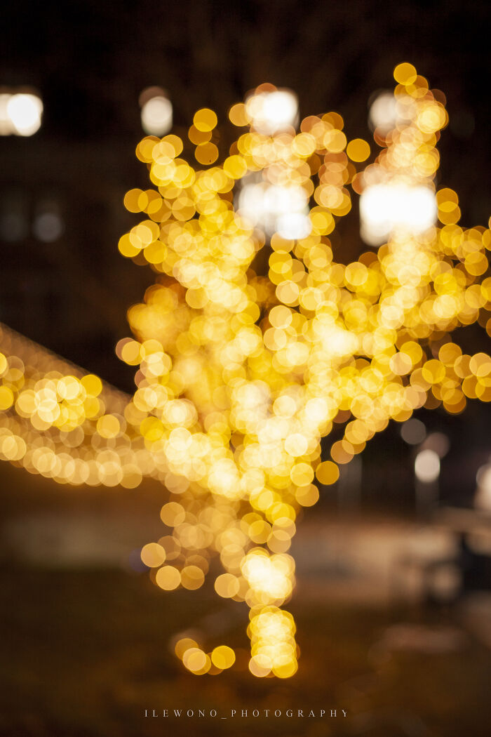 Lessons & Lights: I Photographed The Annual Evening Christmas Service At My Old High School (9 Pics)