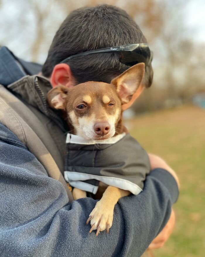 Person hugging a small rescue dog wrapped in a jacket, in a park setting.