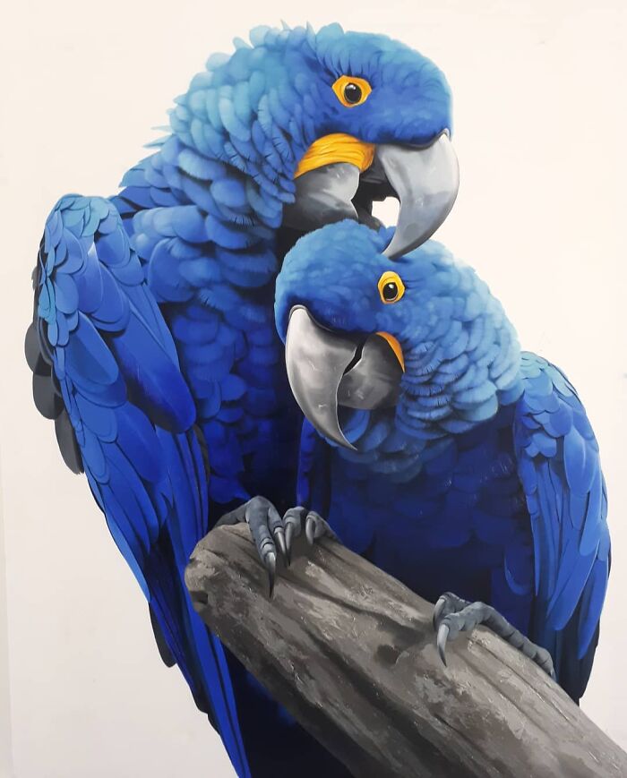 Brazilian artist creates fine art with vibrant blue parrots on a branch.