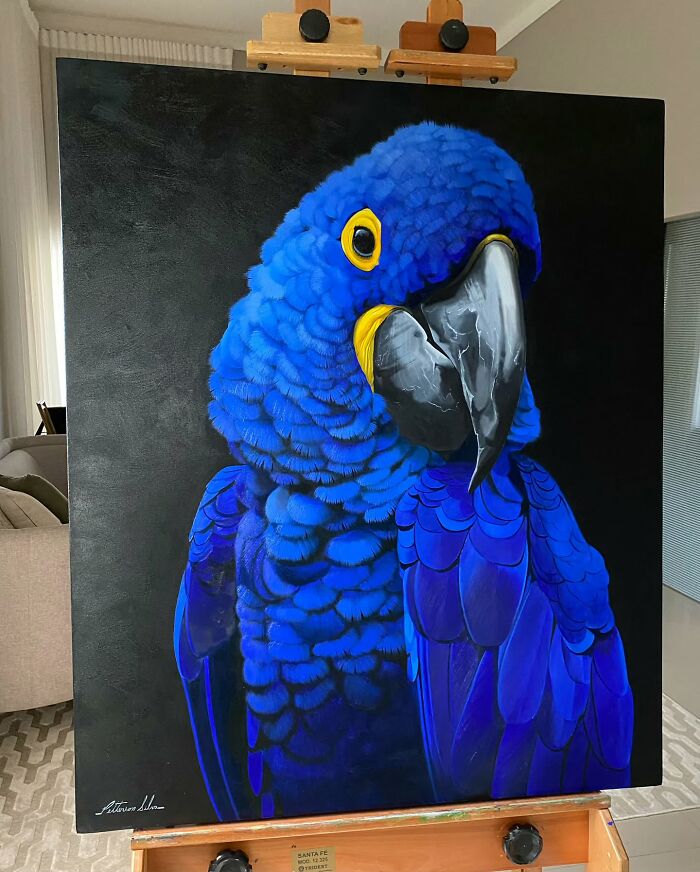 Painting of a vibrant blue parrot, showcasing the artistry of Brazilian feather art transformation.