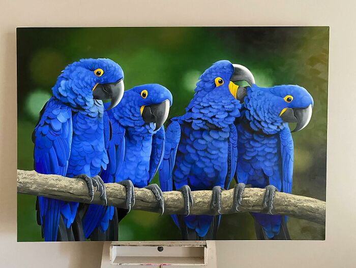 Blue parrots painted by Brazilian artist, showcasing feather transformation into fine art, set against a green backdrop.