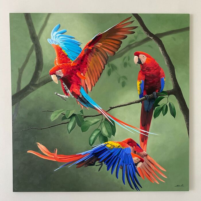 Colorful macaws on branches, showcasing Brazilian artist's feather art.