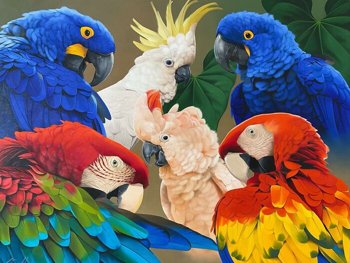 Colorful parrots showcasing Brazilian artist's feather art transformation.