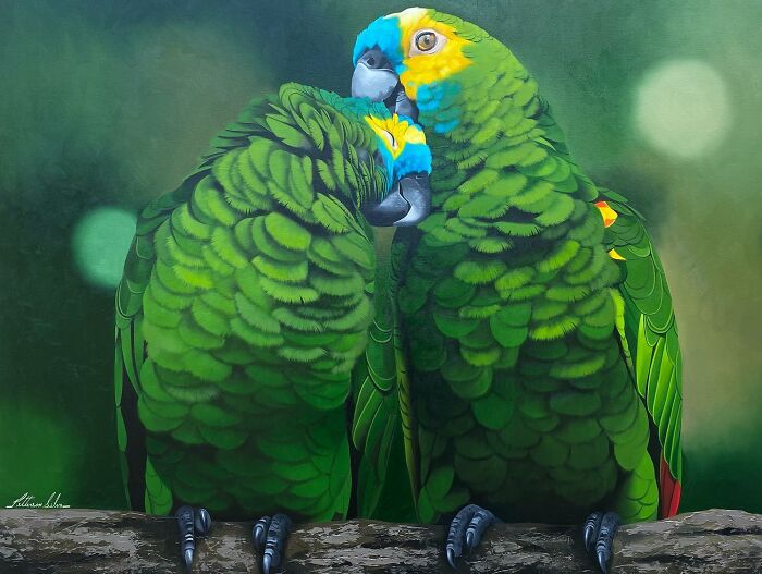 Two vibrant parrots embracing, showcasing Brazilian artist Petterson Silva's feather art technique.