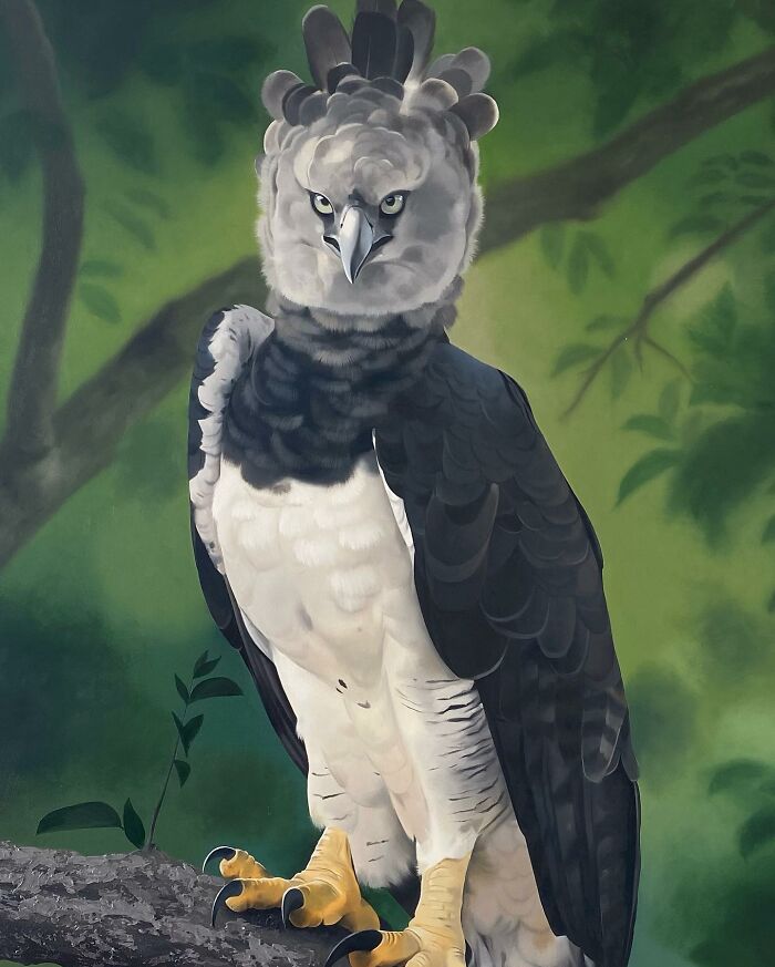 A Harpy Eagle depicted in Brazilian fine art painting, showcasing intricate feather details.