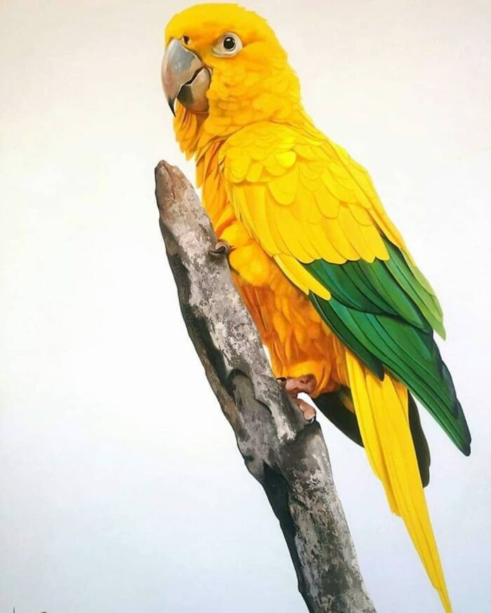 A vibrant yellow parrot with green wings perched on a branch, showcasing feather artwork transformation by a Brazilian artist.