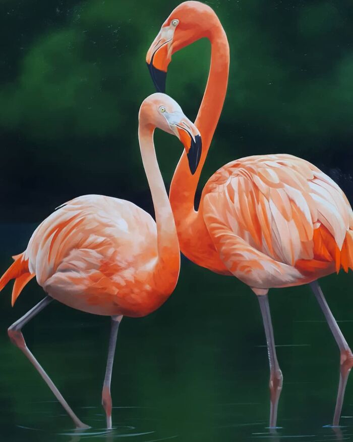 Two flamingos wading in water, a part of Brazilian artist Petterson Silva's fine art collection featuring vibrant feathers.