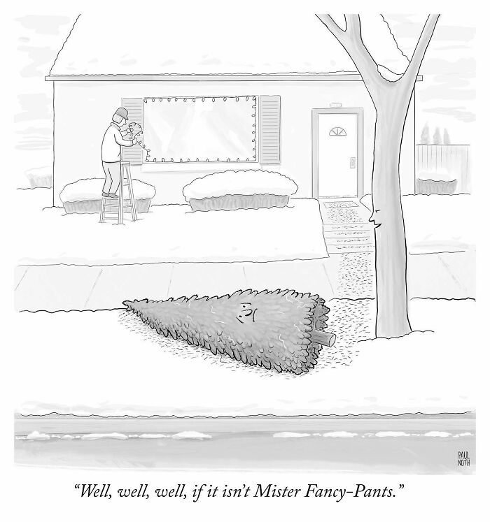 Paul Noth comic shows a tree with a face addressing a man on a ladder decorating a house for Christmas.