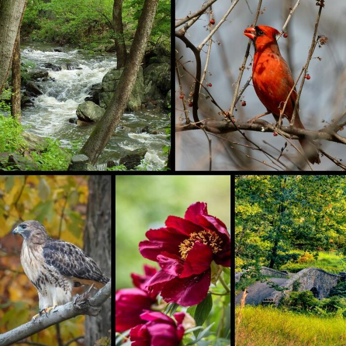 Rockefeller State Park Preserve’s Photography Exhibit Showcasing Works Of 30 Photographers