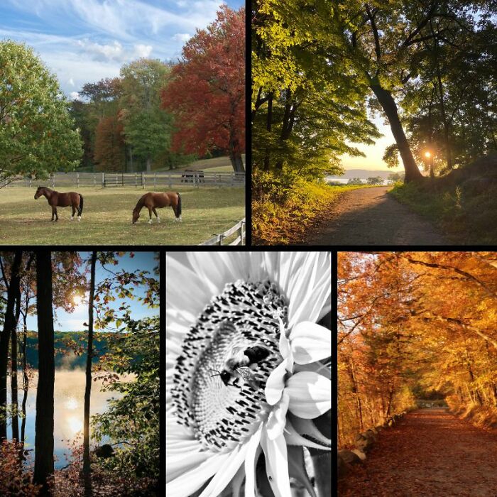 Rockefeller State Park Preserve’s Photography Exhibit Showcasing Works Of 30 Photographers