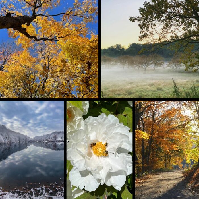 Rockefeller State Park Preserve’s Photography Exhibit Showcasing Works Of 30 Photographers