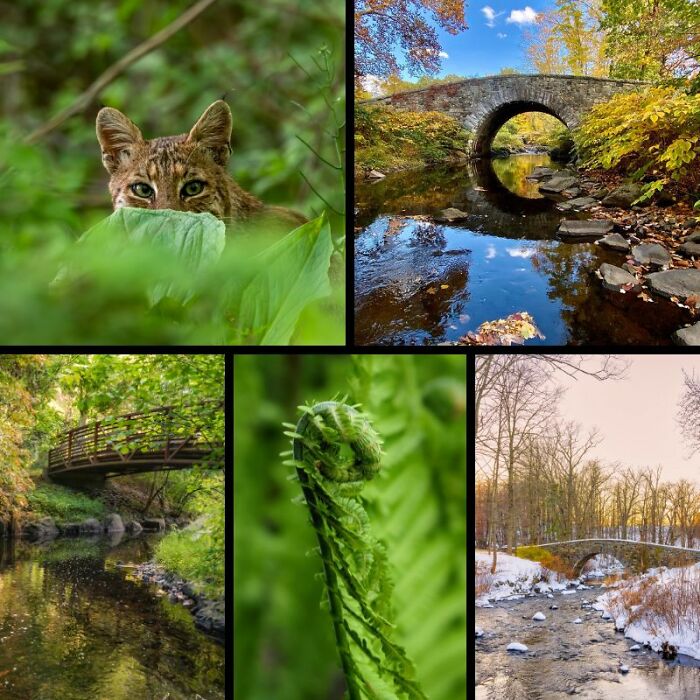 Rockefeller State Park Preserve’s Photography Exhibit Showcasing Works Of 30 Photographers