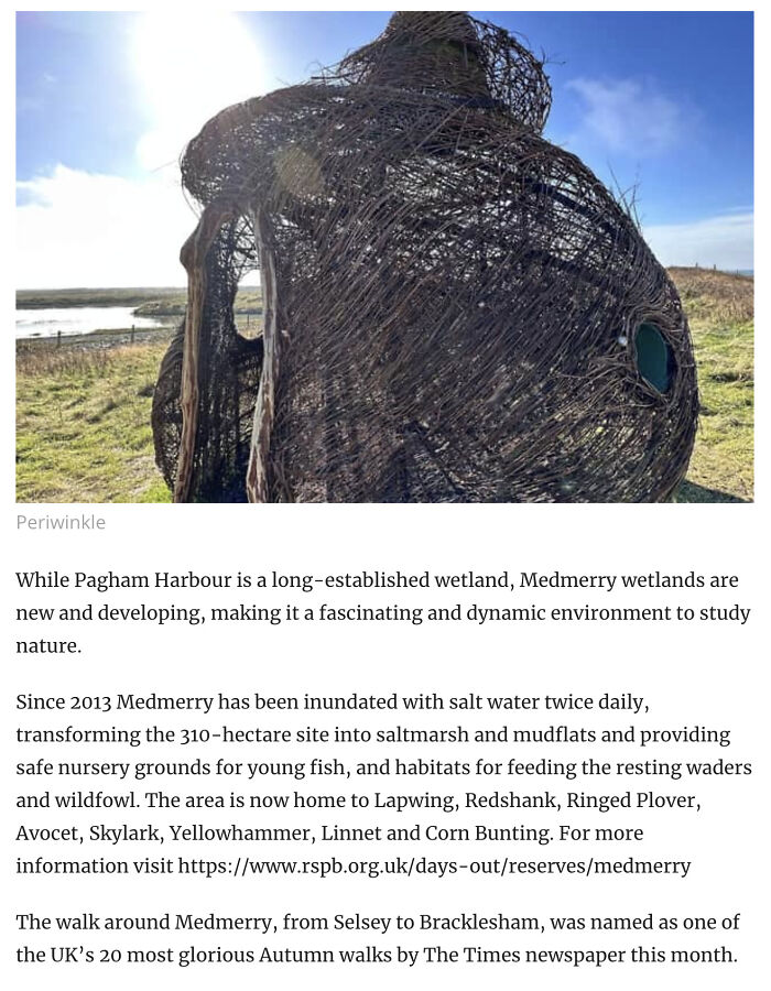 I Collected All The Articles That Wrote About Periwinkle Sculpture At Medmerry Nature Reserve