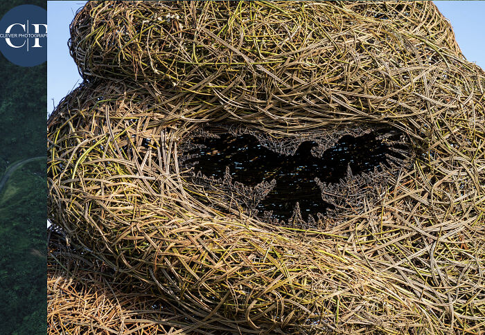 I Collected All The Articles That Wrote About Periwinkle Sculpture At Medmerry Nature Reserve