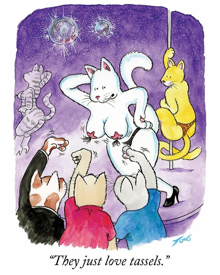 Cats in a humorous one-panel comic by Tom Toro, featuring cats at a nightclub enjoying a performance with tassels.