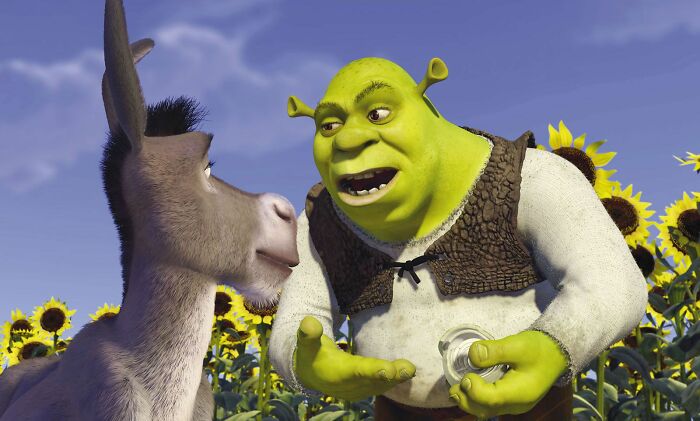 Shrek and Donkey in a sunflower field discussing fascinating fan theories.