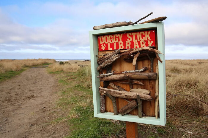 Dog stick library on a grassy path, featuring collected sticks for dogs to enjoy.