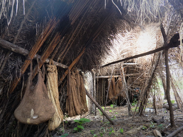 Never-Before-Seen Amazon Tribe Captured In Stunning First Glimpse: “Leave Them Alone”