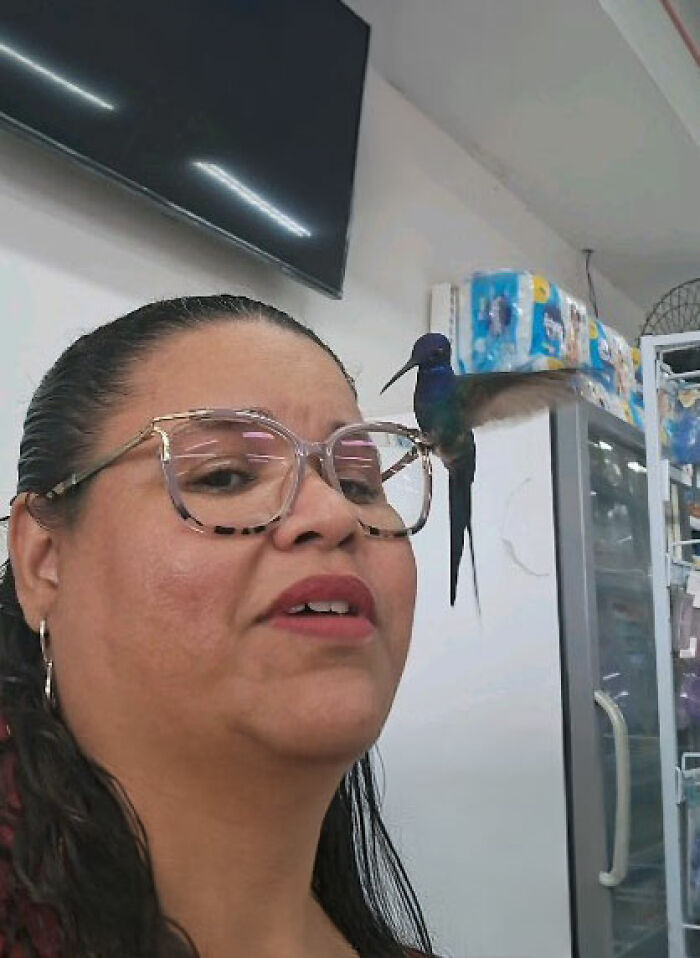 A woman with glasses smiling as a hummingbird lands on her glasses, illustrating a magical friendship in Brazil.