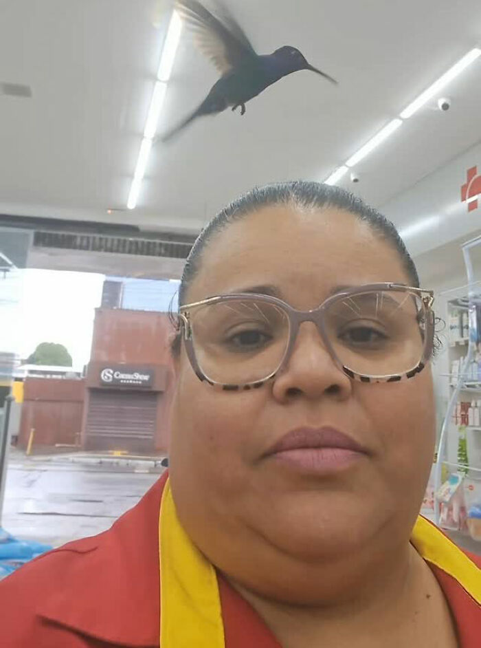 Brazilian woman inside store with a hummingbird flying above, showcasing a magical friendship moment.