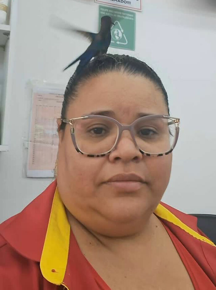 Brazilian woman with glasses and a hummingbird on her head, showcasing a magical friendship.