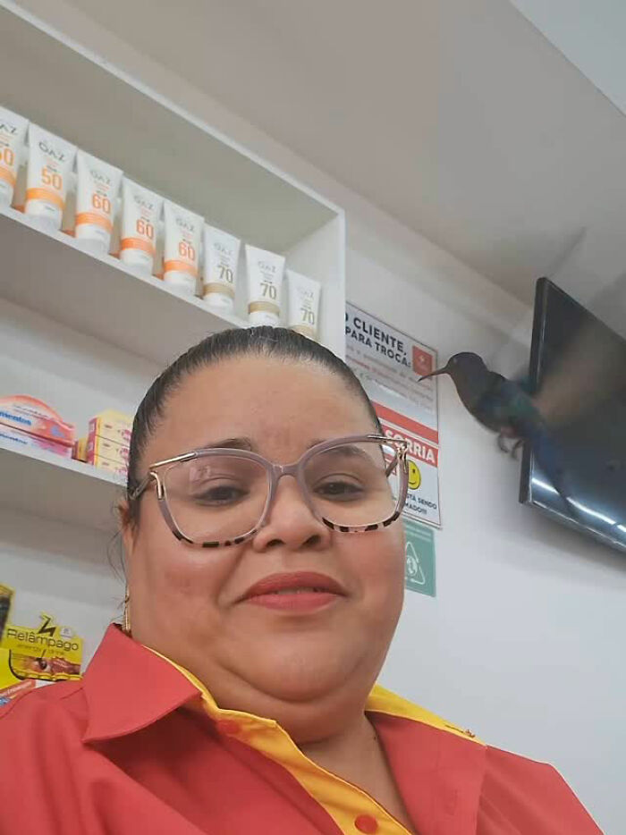 Woman in a store with a hummingbird perched indoors, illustrating a magical friendship.