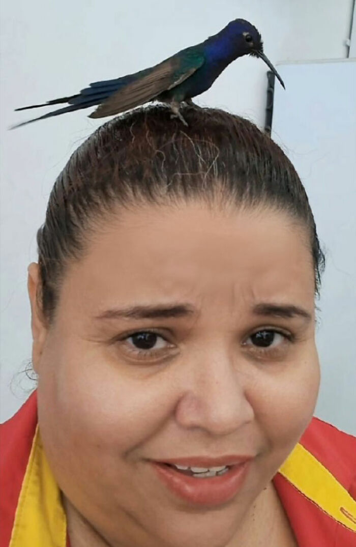 Brazilian woman smiling with a hummingbird perched on her head, illustrating a magical friendship.