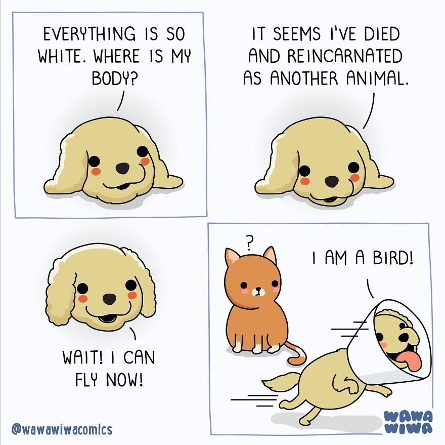 Dog and cat comic from Wawawiwa Comics: Dog reincarnates, discovers new ability to fly, surprising a cat.