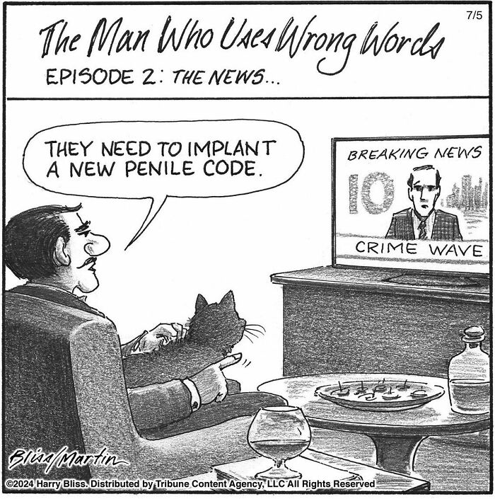 Man watching TV news, holding a cat, humorously misinterprets "penal code"; a funny one-panel comic by Harry Bliss.