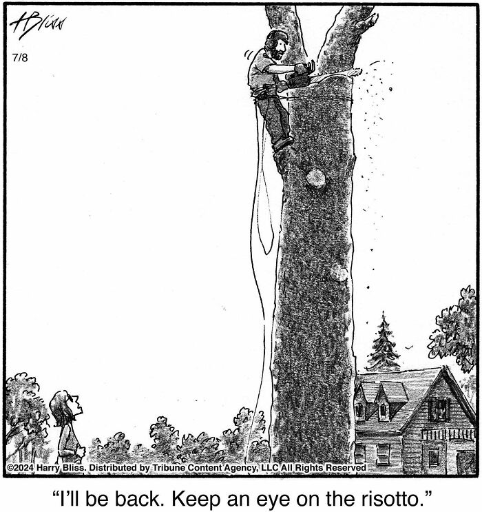 A man on a tree with a chainsaw tells a woman to keep an eye on the risotto, showcasing Harry Bliss's humorous comic style.