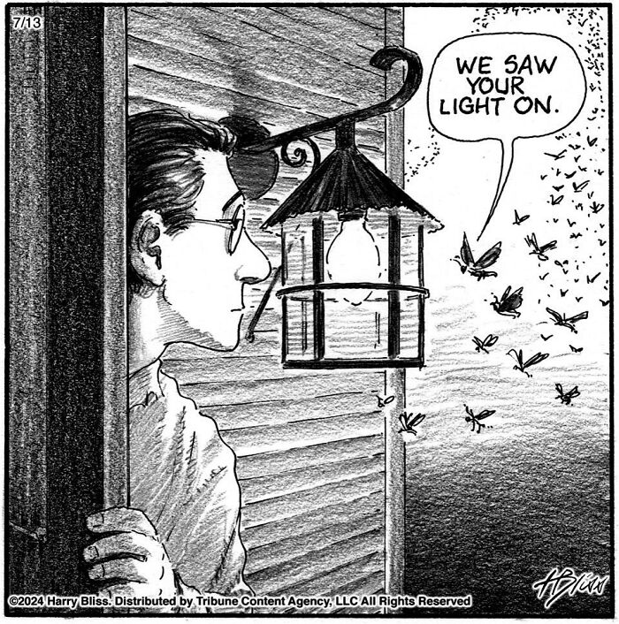 Man peering outside at moths drawn to light in a humorous one-panel comic by Harry Bliss.