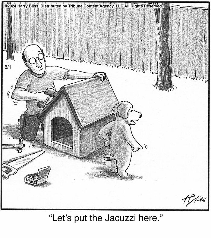 Man building a doghouse while a dog suggests adding a Jacuzzi, illustrating a humorous one-panel comic by Harry Bliss.