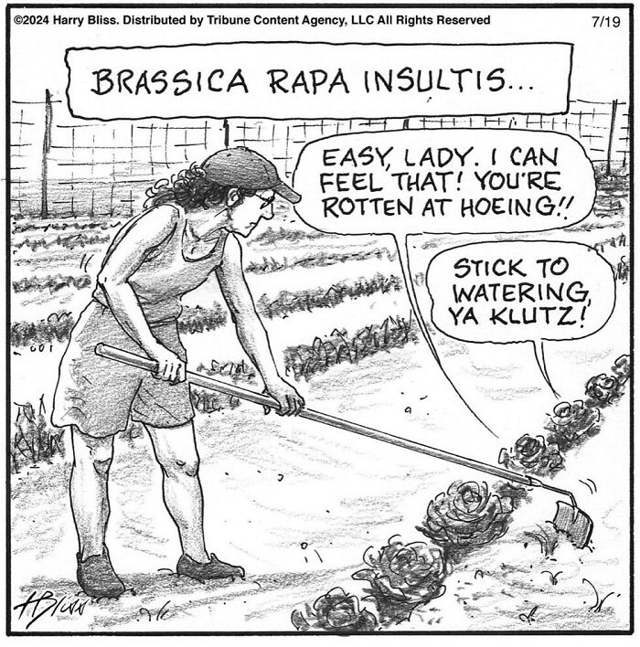 Gardener hoeing turnips with speech bubbles; humorous comic by Harry Bliss.