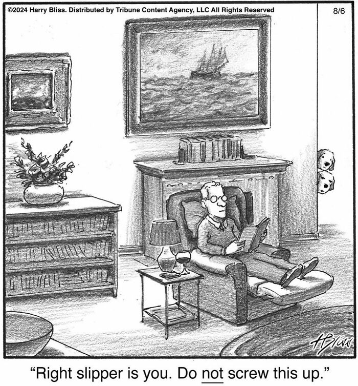 Man reading in armchair with a glass of wine; humorous one-panel comic by Harry Bliss.