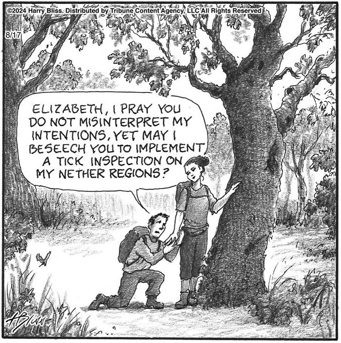 Humorous one-panel comic by Harry Bliss, featuring a man kneeling and asking for a tick inspection in the forest.