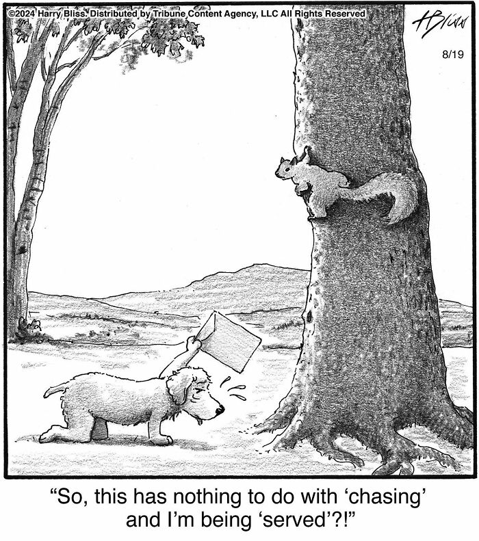 Dog puzzled at a squirrel in a humorous one-panel comic by Harry Bliss.